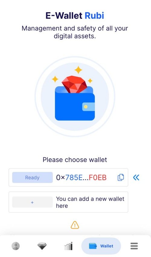 e-rubi wallet image